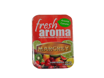 AROMATIZANTE FRESH